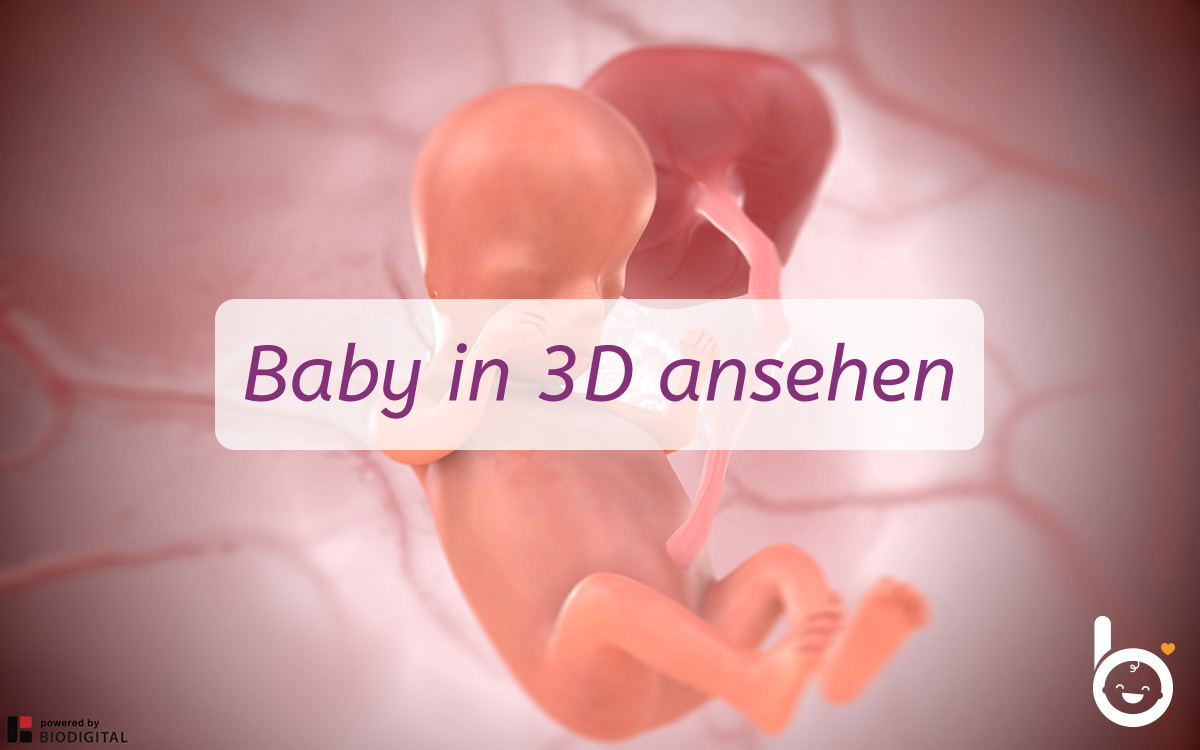 10. SSW: Dein Baby in 3D ansehen