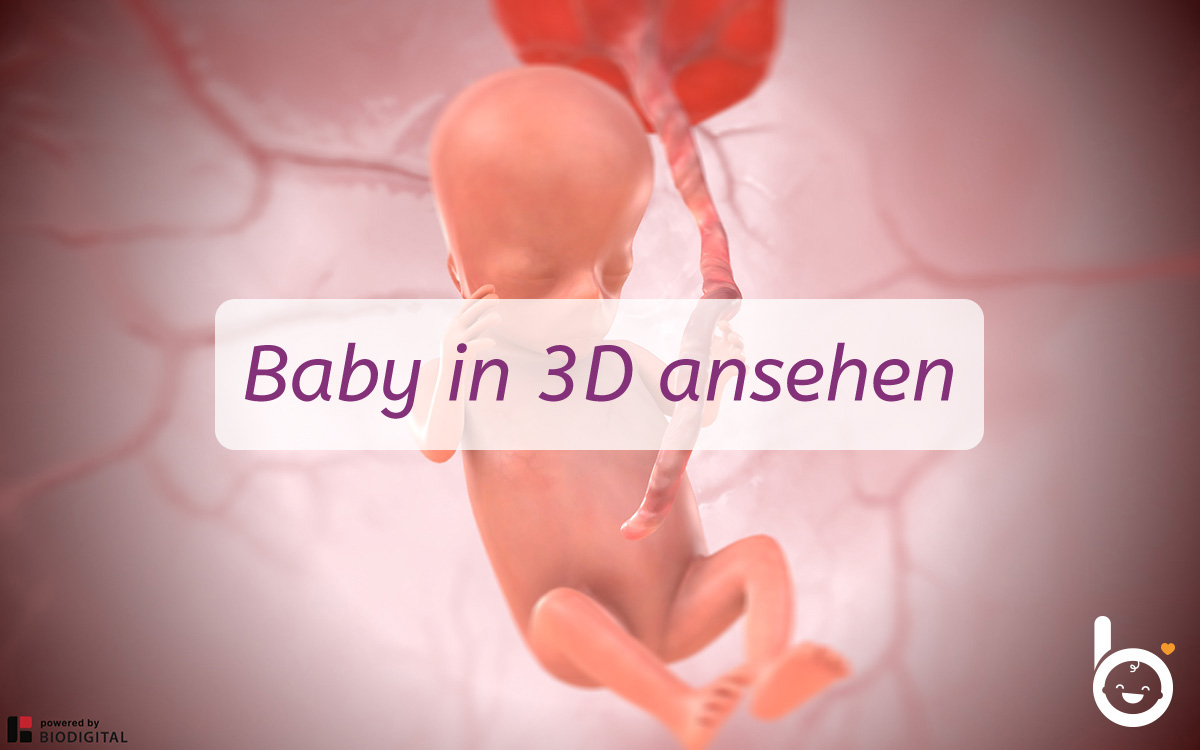 11. SSW: Dein Baby in 3D ansehen