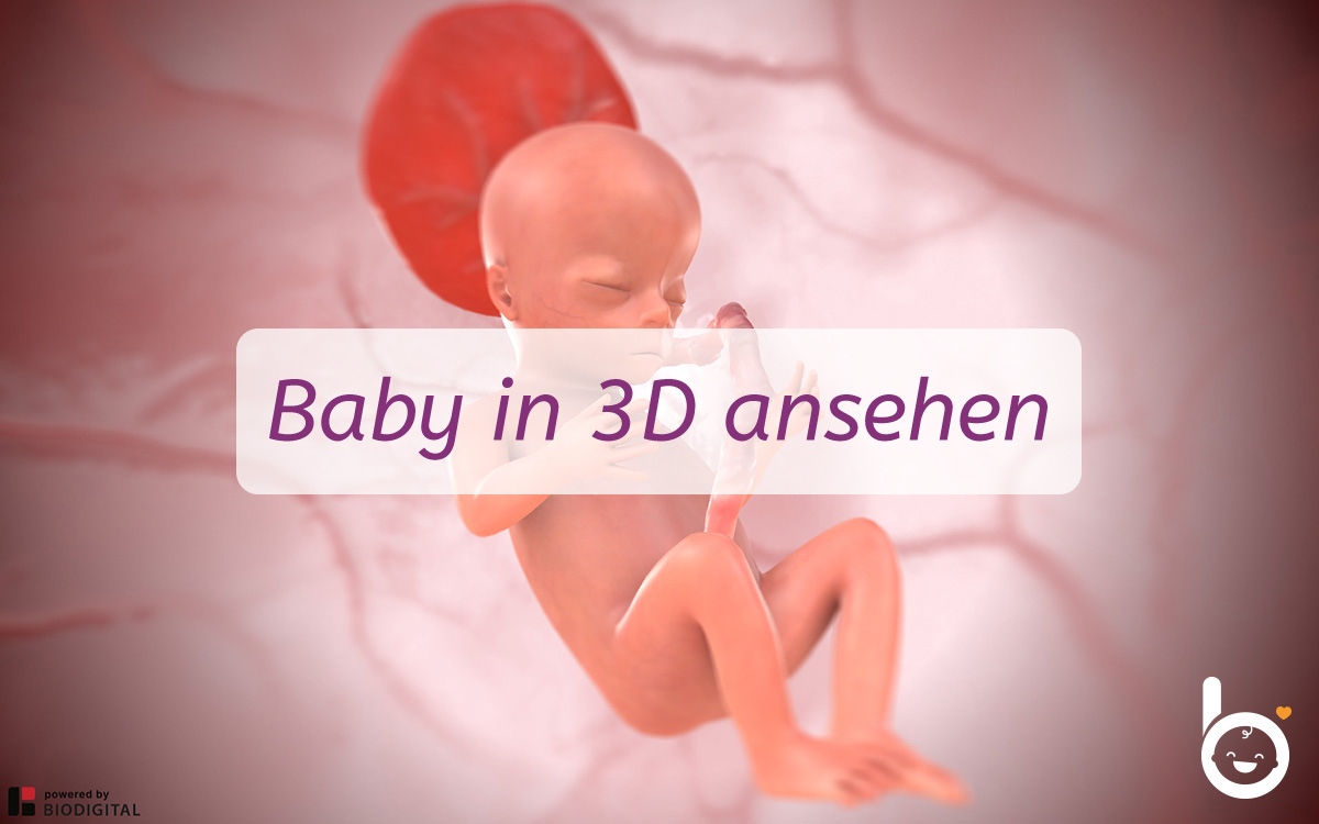 15. SSW: Dein Baby in 3D ansehen