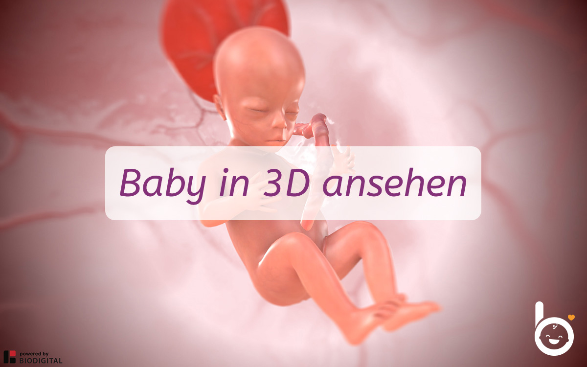 16. SSW: Dein Baby in 3D ansehen