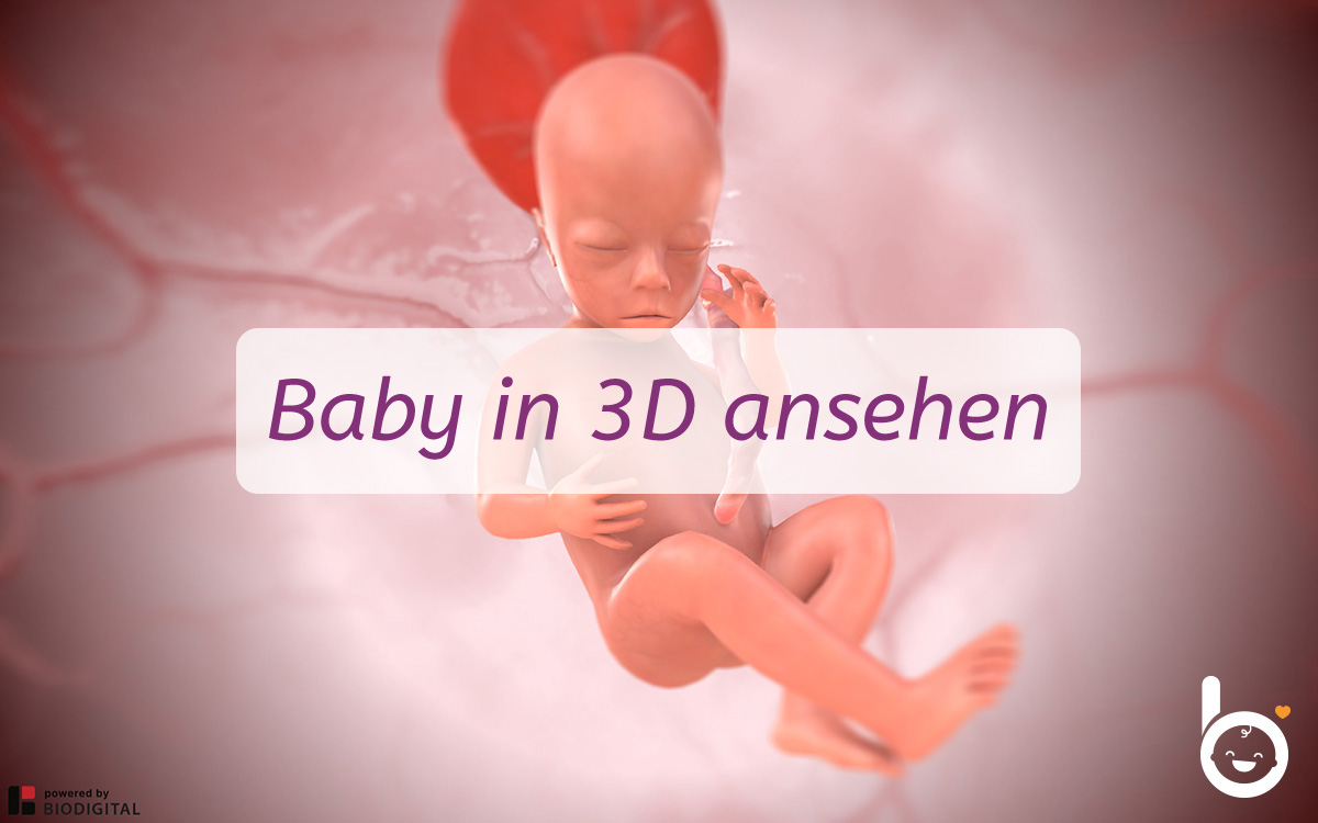 17. SSW: Dein Baby in 3D ansehen