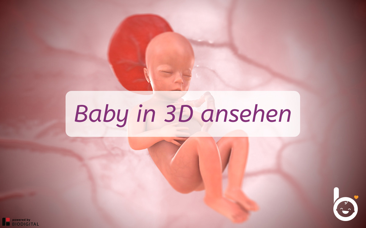 18. SSW: Dein Baby in 3D ansehen