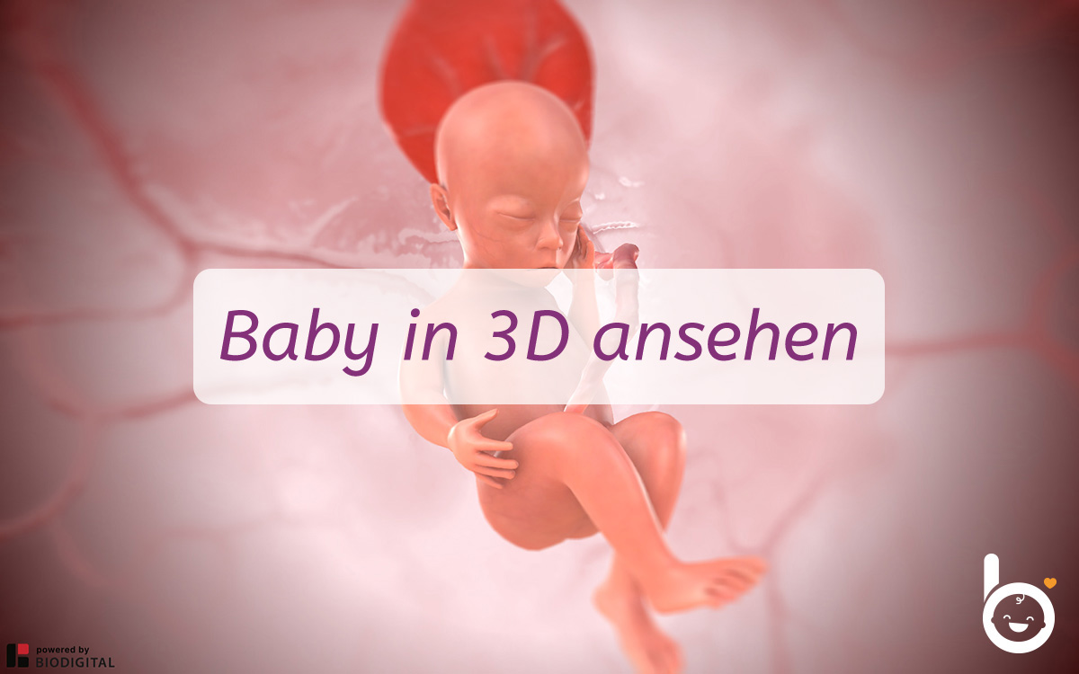 20. SSW: Dein Baby in 3D ansehen