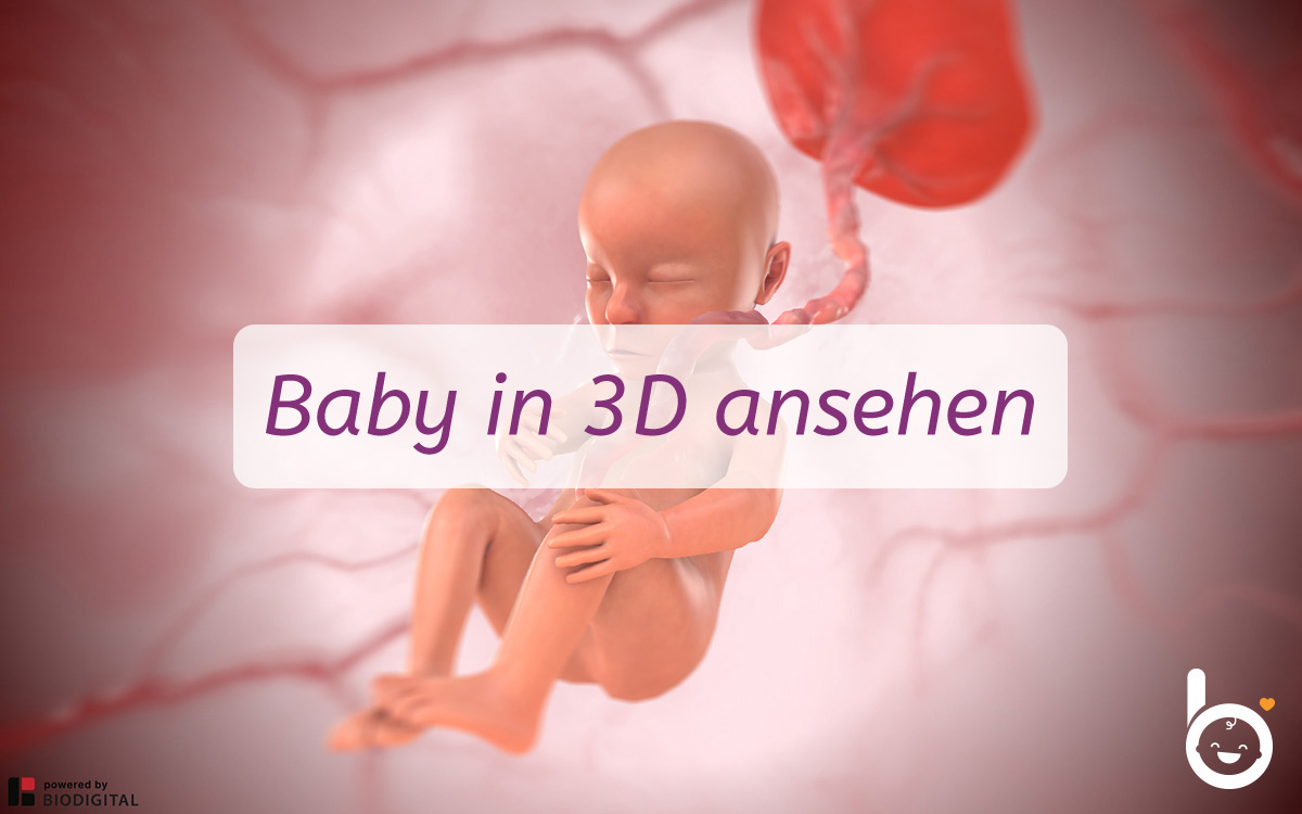 22. SSW: Dein Baby in 3D ansehen