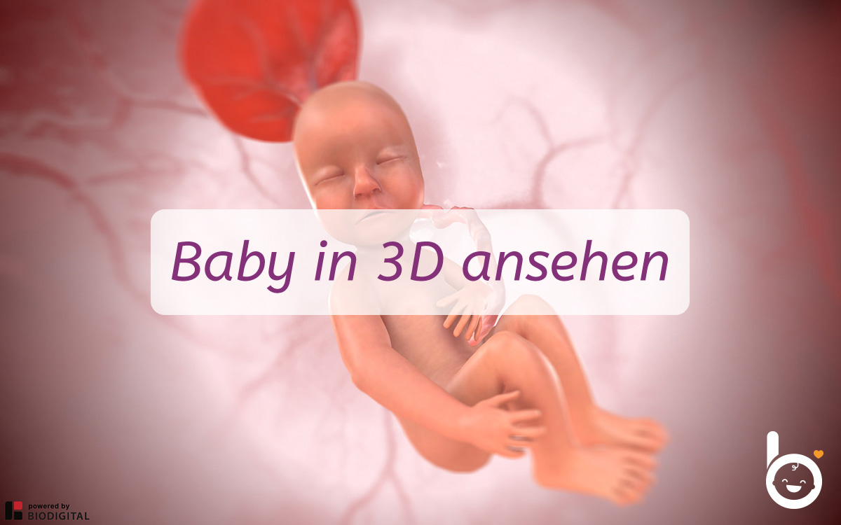 23. SSW: Dein Baby in 3D ansehen