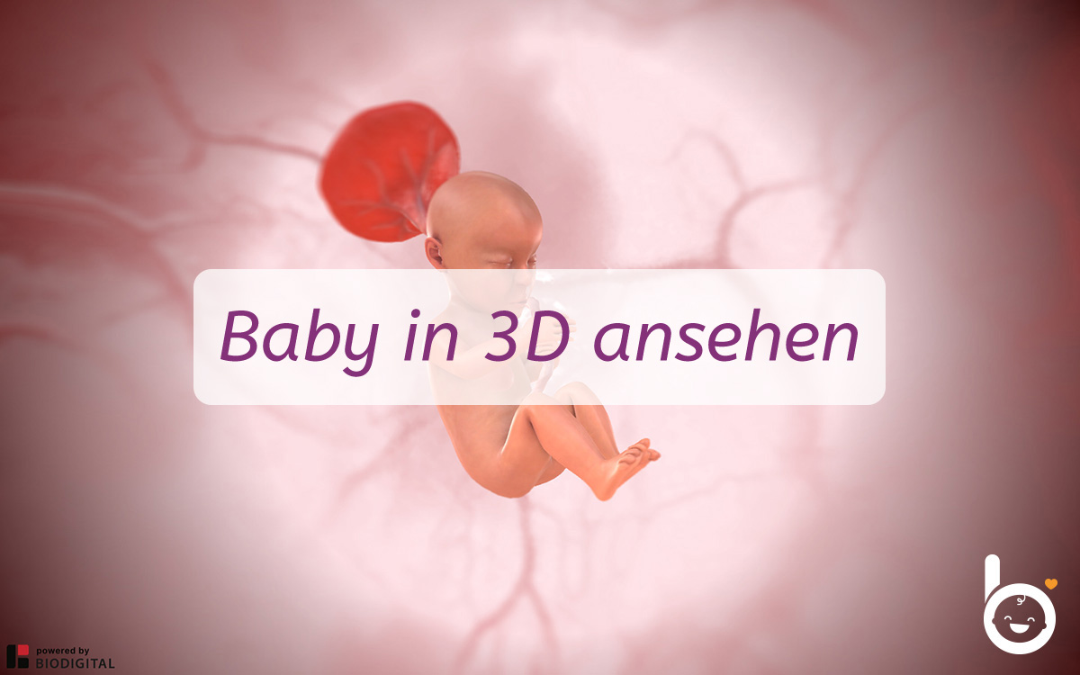 25. SSW: Dein Baby in 3D ansehen