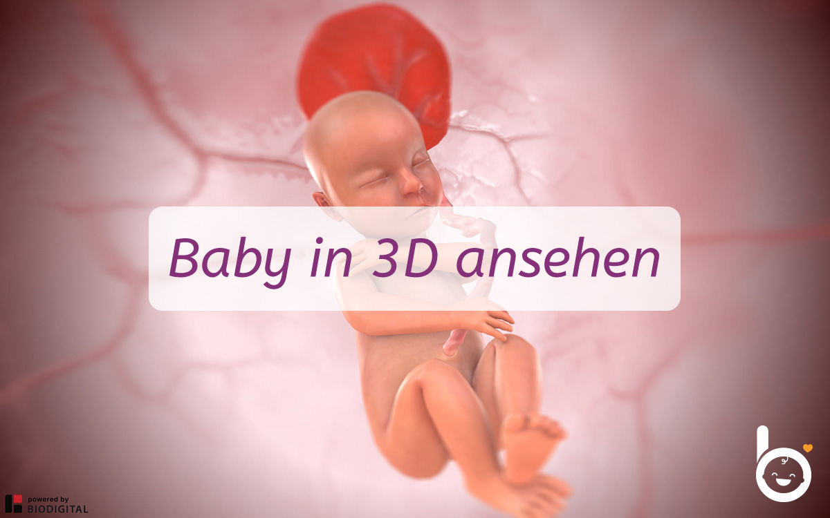 26. SSW: Dein Baby in 3D ansehen