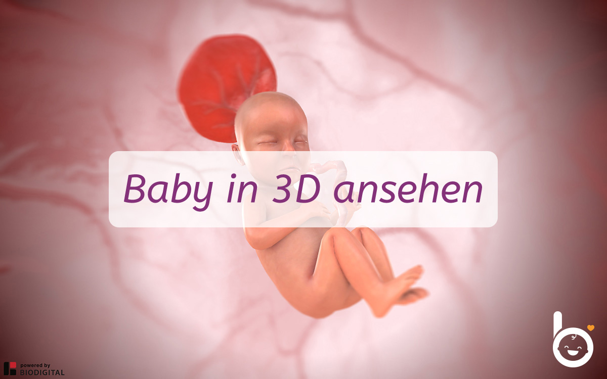 27. SSW: Dein Baby in 3D ansehen