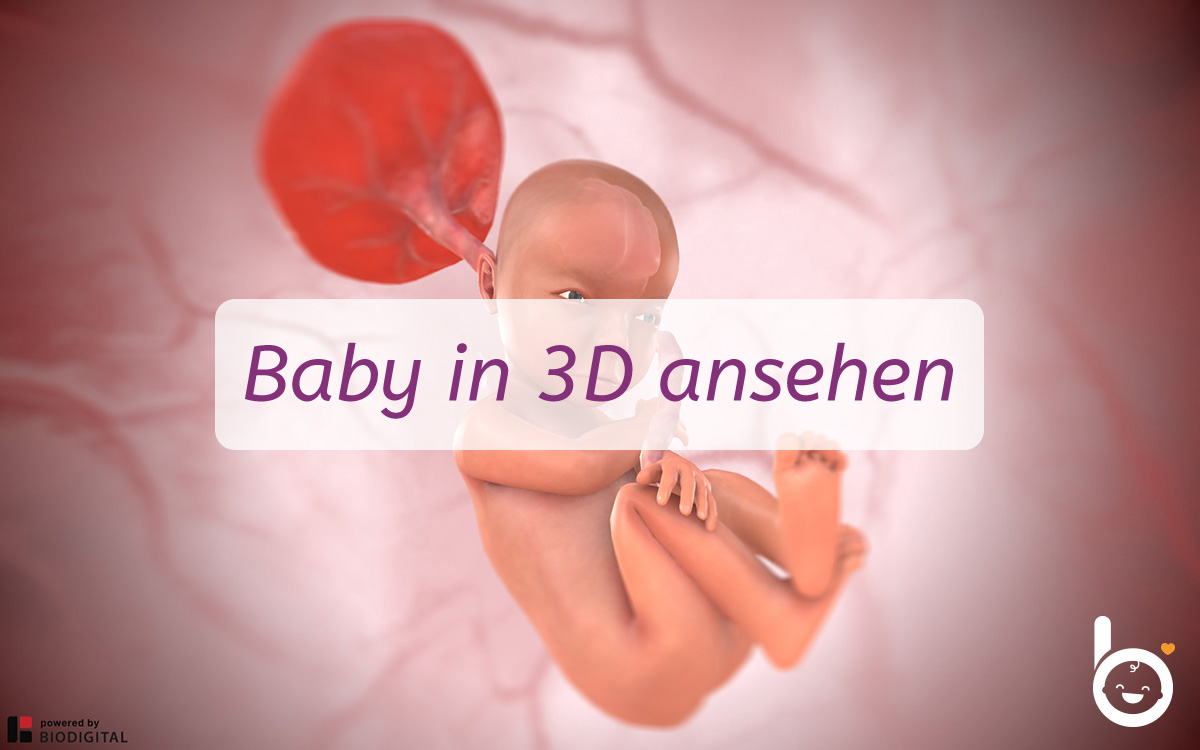 28. SSW: Dein Baby in 3D ansehen