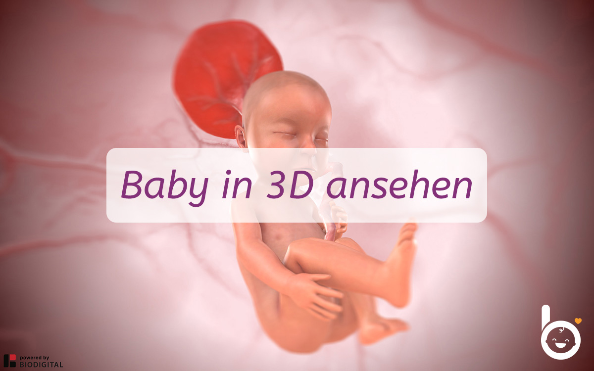 29. SSW: Dein Baby in 3D ansehen