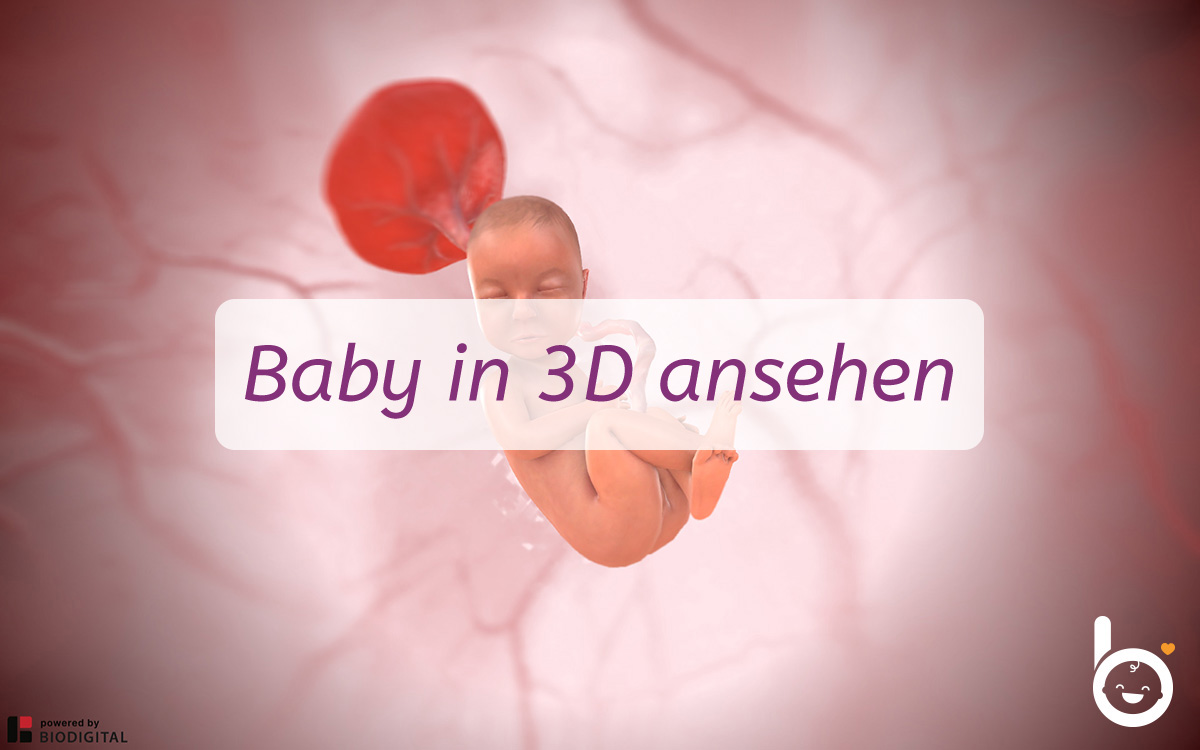 31. SSW: Dein Baby in 3D ansehen