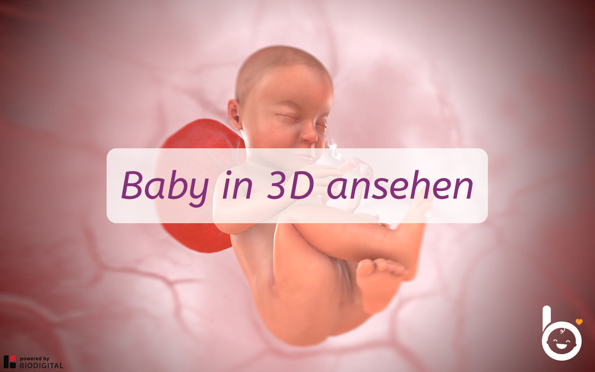 32. SSW: Dein Baby in 3D ansehen