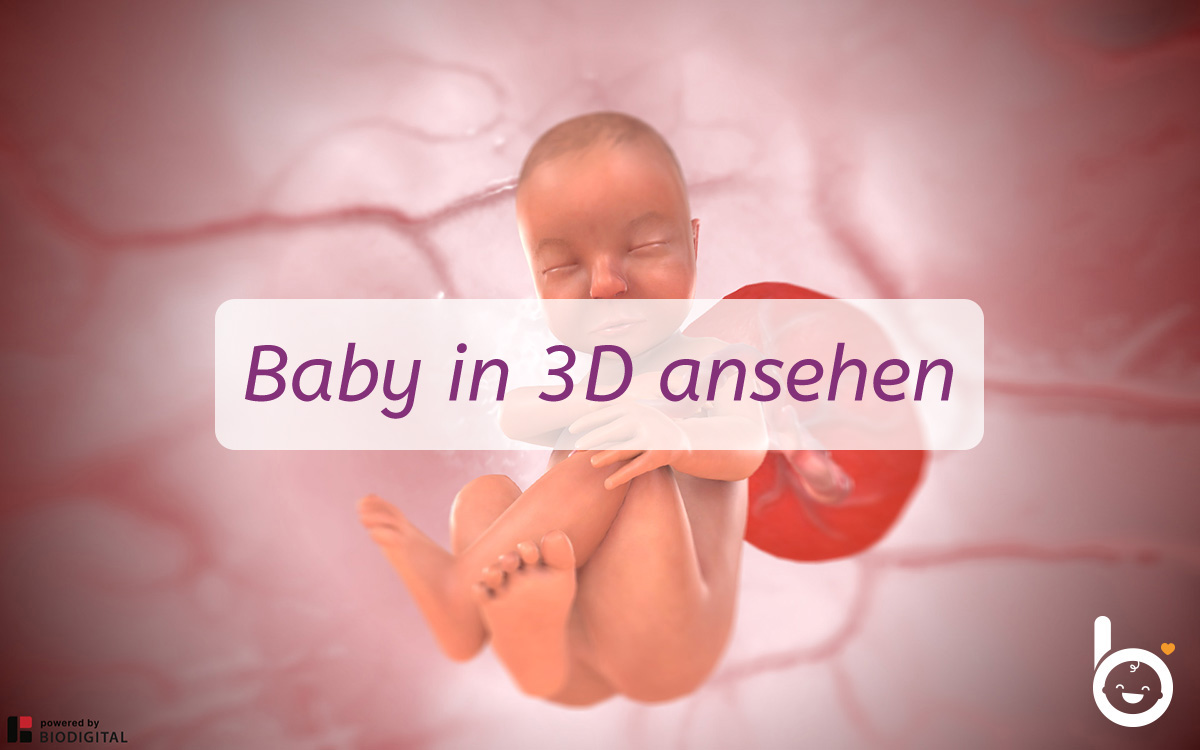 33. SSW: Dein Baby in 3D ansehen