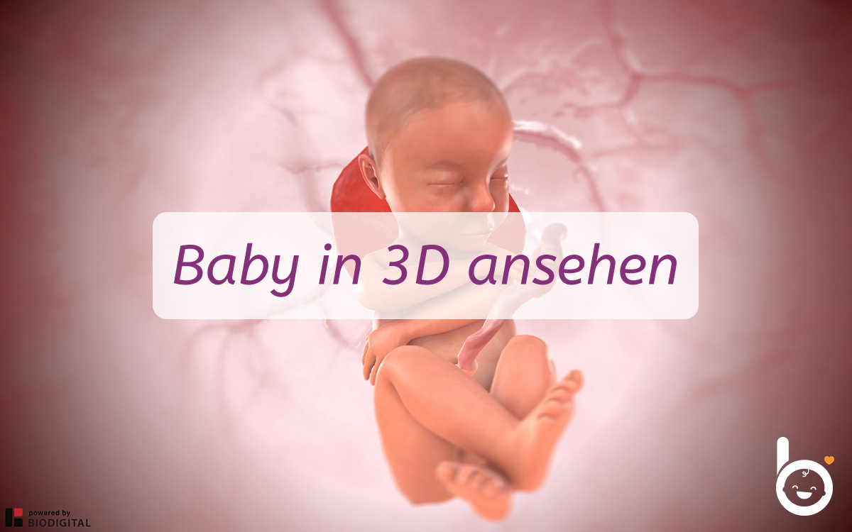 34. SSW: Dein Baby in 3D ansehen