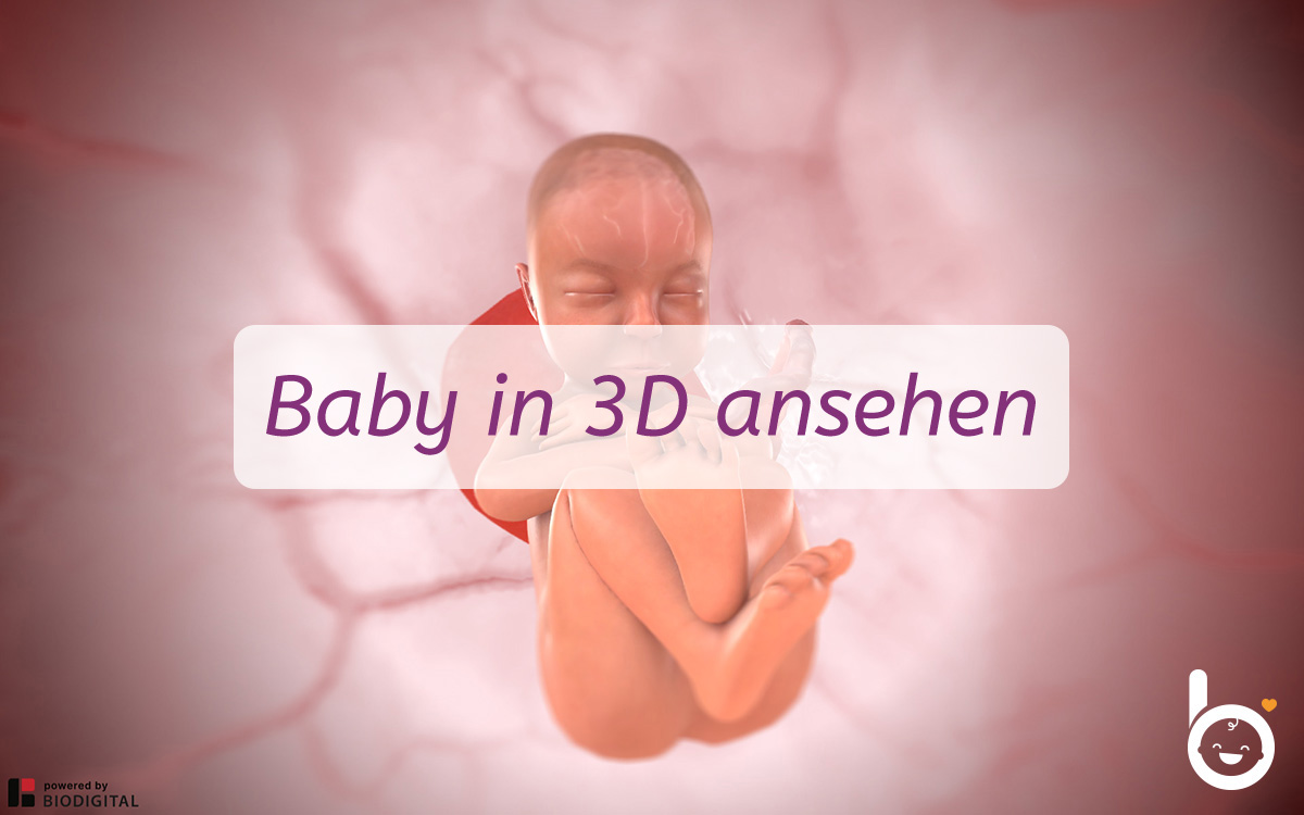 35. SSW: Dein Baby in 3D ansehen