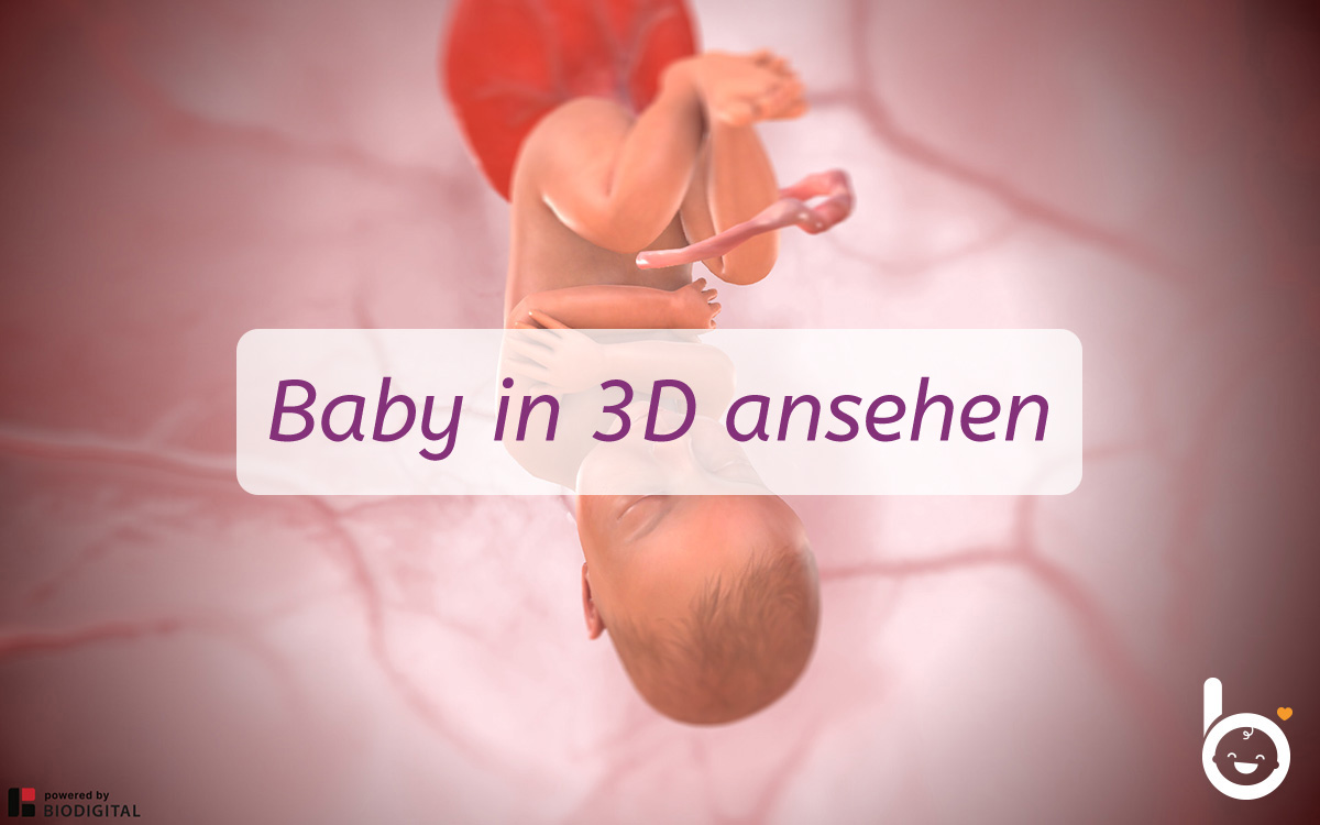 36. SSW: Dein Baby in 3D ansehen