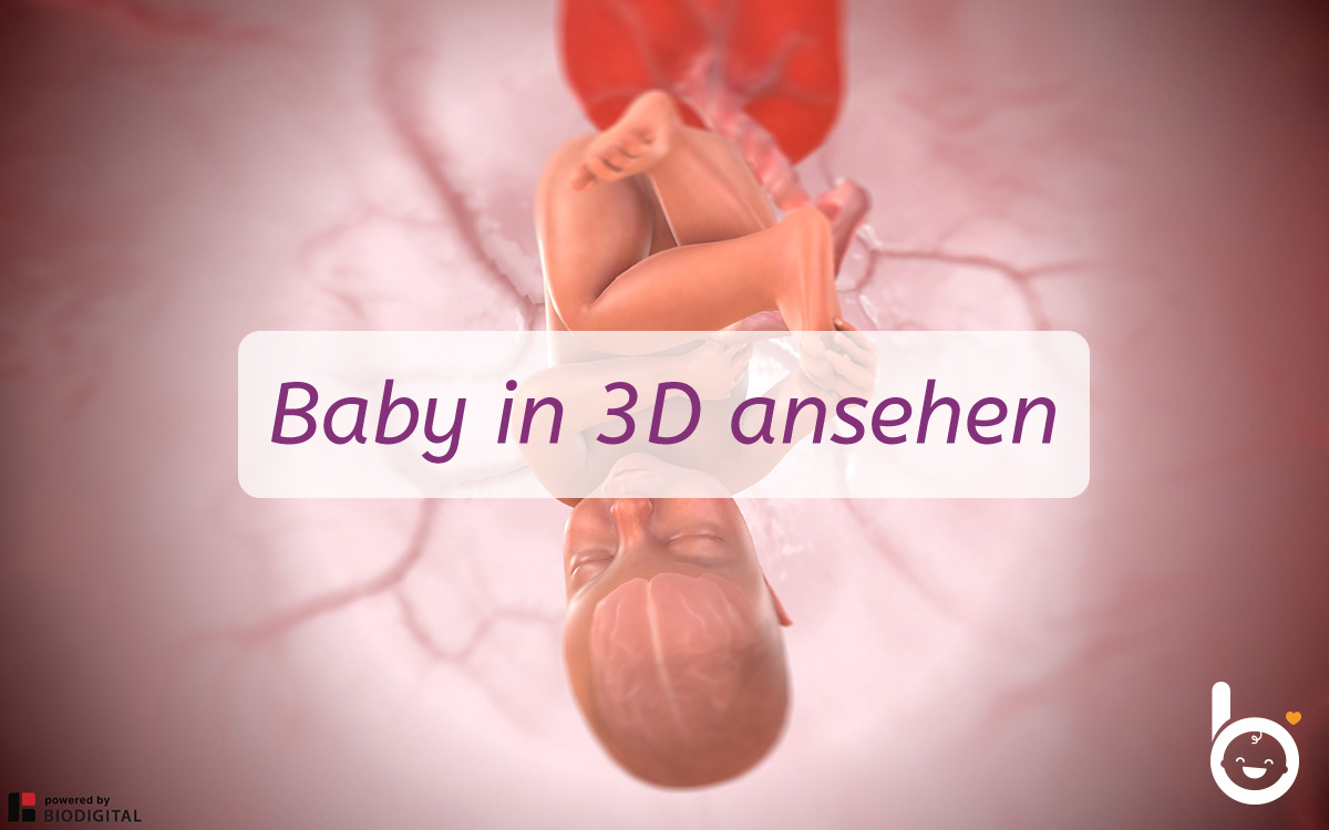 37. SSW: Dein Baby in 3D ansehen