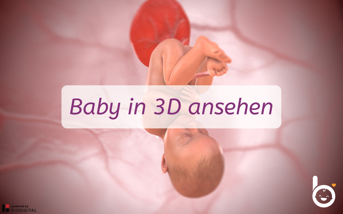 39. SSW: Dein Baby in 3D ansehen