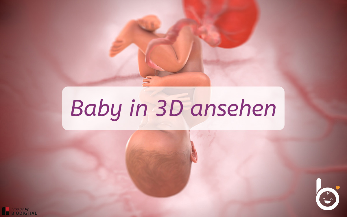 40. SSW: Dein Baby in 3D ansehen