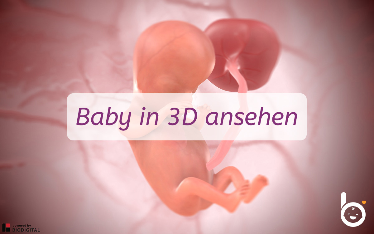 9. SSW: Dein Baby in 3D ansehen